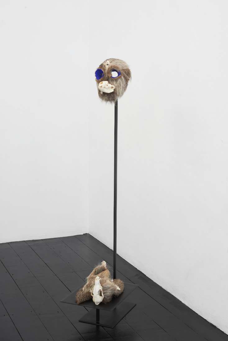 Joanna Rajkowska, Mask with Badger's Skull and Roe Dear's Vertebra and Shoes with Fox's Skull, 2019  26 x 19.5 x 17.3 cm and 34 x 12 x 15 cm. Photo by Andy Keate