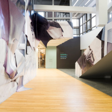 Anita Witek<br />Clip<br />2018<br />site-specific installation at the Wexner Centre for Arts, Columbus, Ohio, Installation image