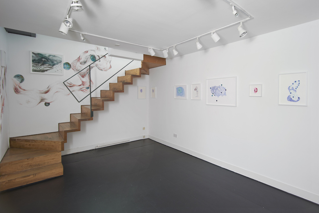 Tatiana Wolska, Chrysalides, solo exhibition of drawings, at Austin Desmond Fine Art, London, 2021, installation images, photo. Andy Keate