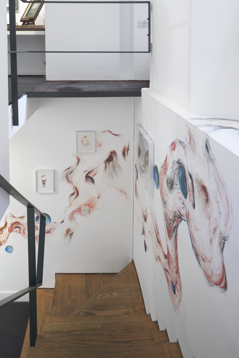 Tatiana Wolska, Chrysalides, solo exhibition of drawings, at Austin Desmond Fine Art, London, 2021, installation images, photo. Andy Keate
